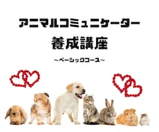 アニマルコミュニケーターになる方法をお教えします イメージ1