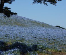 介護に関する悩み、予防、相談受付けます イメージ1