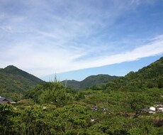 高知県内の写真撮影致します！ イメージ1