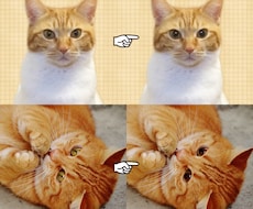 猫ちゃんの写真修正★瞳孔デカ目★にします イメージ1
