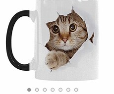 ECサイトに10点商品登録します サイトへの登録商品を増やしたい方向け