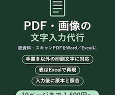 PDF・画像の文字をWord/Excel化します イメージ1