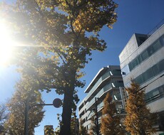 法人や個人営業に慣れないあなた 楽しむ方法教えます イメージ1