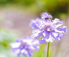 元気になりたい！その方法はたった一つだけ！教えます イメージ1