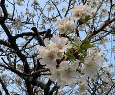 相談乗ります イメージ1