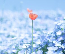 疲れたあなたの心の荷物、少しだけ預かります イメージ1