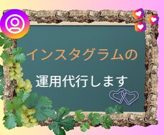 インスタ運用代行いたします イメージ1