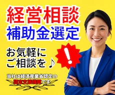 最適な補助金選定！事業計画策定を専門家が支援します 経営状況分析＋最適補助金の提案！計画書の作成や申請も対応可♪