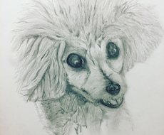 わんちゃんの絵描きや人形作ります イメージ1