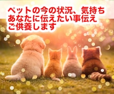 ペットロスの方へ、ペットの気持ちを伝えご供養します