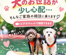 犬を飼う親が心配な方　介護×犬の生活を考えますます 親が犬を飼っているけど、最近ちょっと心配…そんなご家族へ。