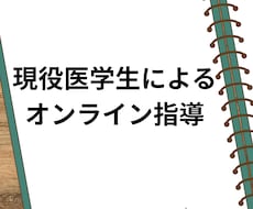 お試し/現役医学部生が優しく丁寧に指導します