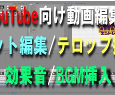 YouTube向けの動画編集承ります イメージ1