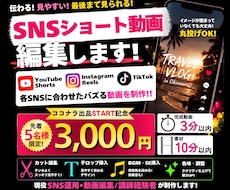 TikTok・リール・ ショート動画編集します イメージ1