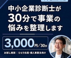 中小企業診断士が30分で事業の悩みを整理します お試し3,000円｜中小企業診断士｜次の打ち手をその場で提示