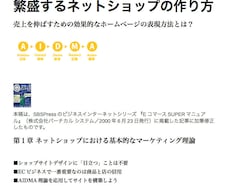 ネットショップを繁盛させる表現方法をお教えします 専門誌に寄稿したホームページの表現方法に関するノウハウ記事