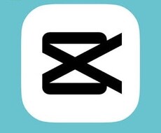ショート動画等のSNS用広告の動画編集を致します