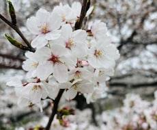 ちょっと､誰かに聞いてほしい。そんな時受け止めます イメージ1
