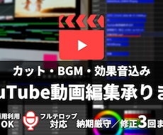 YouTube等の動画編集承ります イメージ1