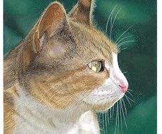 ペットの似顔絵を写真のようにリアルに描きます イメージ1