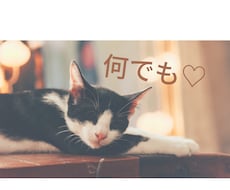 なんでもお聞きします イメージ1