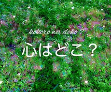 お相手の今のお気持ちと2人の未来を視ます ➕あなたのお気持ち➕魂へのアドバイス➕鑑定後のご質問も