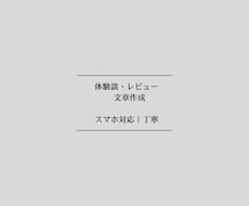 スマホ対応　体験談・レビュー文章を丁寧に作成します イメージ1