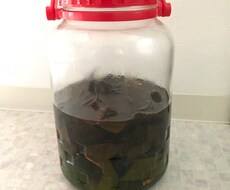 体質にあった食事をアドバイスします イメージ1