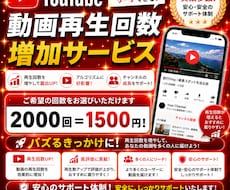 YouTube再生回数+2000回増やします イメージ1