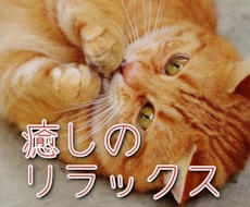 話して癒されたい方のお話を優しくお聞きします ゆっくり優しく話せるリラックスタイムをご提供します