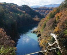 人生をもっと明るく輝かせます イメージ1