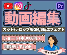 1本3000円〜動画編集します イメージ1