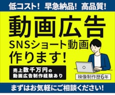 初回限定価格！ショートの動画広告を制作します イメージ1