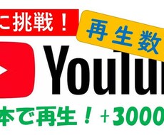 Youtube再生回数を目標回数まで継続宣伝します 最安に挑戦！全て日本人、3000回再生を3000円から！