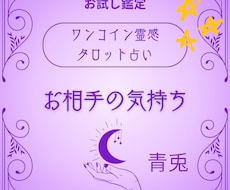 霊感占い・気になるあの人の気持ちを占います お相手の心の奥底、タロットで引き出します。
