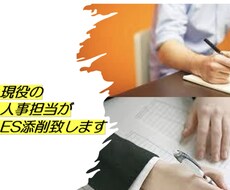 大学職員　現役の人事採用担当がES添削致します 【内定への近道：ES上達編】＋無料特典で各種質問・ご相談OK