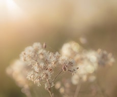 ちょっと話したい✴︎聞いて欲しい✴︎受け止めます イメージ1