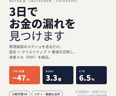 Meta広告の数値を診断し改善メモを納品します イメージ1