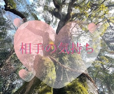 ご新規様専用★相手の潜在意識と繋がり本音を伝えます 縁結び♡霊感霊視で望む未来を引き寄せる為のアドバイス★