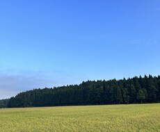 話したい事なんでも聞きます イメージ1