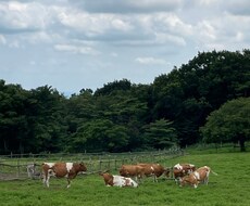 大手通信会社の本社社員があなたの疑問に答えます イメージ1