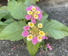 色んな恋をしてきたからこそアドバイスできます イメージ1