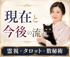 恋愛・仕事・人間関係｜お悩み事を視ていきます 霊視・タロット・数秘術を使用し総合的に判断いたします
