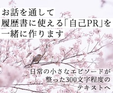 お話を通して履歴書に使える自己PRを一緒に作ります 就活する方へ、300文字程度の整ったテキストをお届けします