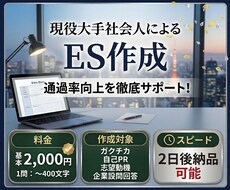 内定を取るエントリーシートを添削します イメージ1