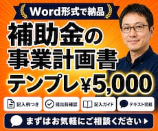 持続化補助金の事業計画書テンプレートを販売します 採択された計画書の構成を、審査の観点に沿って型にしました