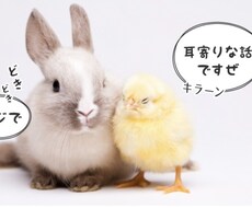 どんな些細なお話も否定する事なく「聴き」ます イメージ1