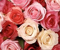 出会い、恋活、婚活、良縁引き寄せ、婚期…承ります イメージ1