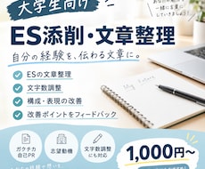 大学生限定｜ESを伝わりやすい文章に整理します イメージ1