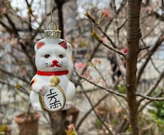 おためし！あなたの恋愛を龍神カードで占います イメージ1